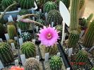 DSC09173