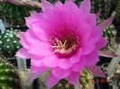 DSC09186