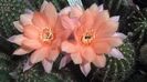 IMG_20150705_110525_549