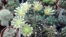 IMG_20150702_145951_116
