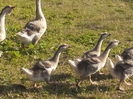 IMG_20150715_183407