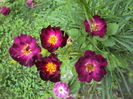 DSC00637