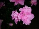 20150717_154217