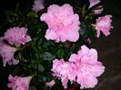 20150717_154155