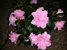 20150717_154119