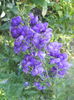 DSCN8261
