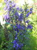 DSCN8262