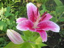 DSCN8264