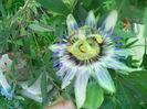 DSCN8286