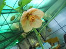 DSCN8290