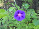 DSCN8269
