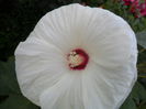 SAM_7440