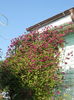 DSCN8279