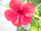 DSCN8283