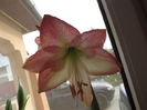 DSCF0895