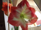 DSCF0902