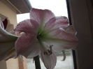 DSCF0903