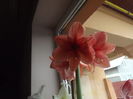 DSCF0928