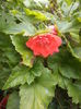 DSC04484