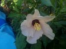 IMG_20150717_083059