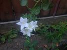 IMG_20150717_082805