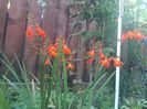 IMG_20150717_083022