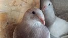 20150718_105844 M