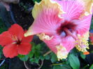 SAM_7492