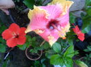 SAM_7493
