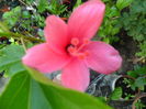 SAM_7495