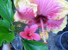 SAM_7497