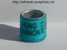 hung pannon 2013