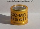 ccc-mg brasil 2013
