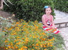 IMG_0603