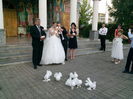 Porumbei albi pentru nunta Targoviste