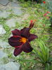 DSC00988