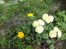 DSC00997