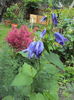 DSC01004