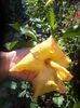 DSC04500