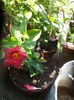 DSC04501