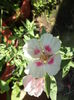 DSC04506