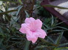 DSC02901
