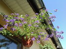 DSC02909