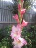 20150718_095039