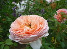 Abraham Darby