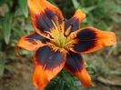 DSC02701