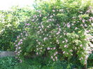 P1060247