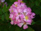 P1060249