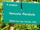 P1060259