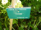 P1060278